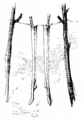 Книга вампиров - i_107.jpg