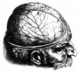 Книга вампиров - i_112.jpg