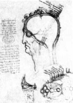 Книга вампиров - i_113.jpg