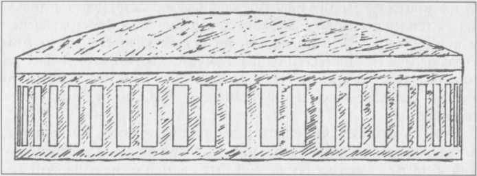 Нежить или Таинственные существа - i_013.jpg