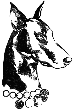 Воспитай себе друга - i_001.png