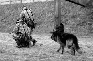Атакующие собаки. Мифы и реальность современной дрессировки - i_026.jpg