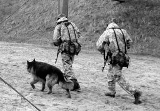 Атакующие собаки. Мифы и реальность современной дрессировки - i_027.jpg