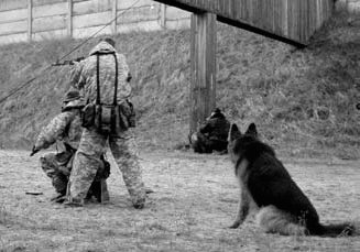 Атакующие собаки. Мифы и реальность современной дрессировки - i_029.jpg