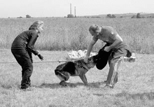 Атакующие собаки. Мифы и реальность современной дрессировки - i_074.jpg