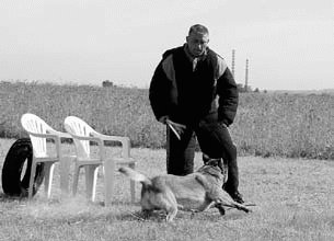 Атакующие собаки. Мифы и реальность современной дрессировки - i_089.jpg