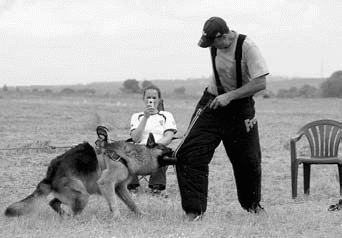 Атакующие собаки. Мифы и реальность современной дрессировки - i_096.jpg