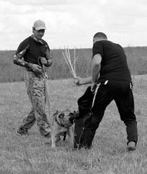 Атакующие собаки. Мифы и реальность современной дрессировки - i_100.jpg