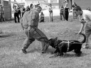 Атакующие собаки. Мифы и реальность современной дрессировки - i_134.jpg