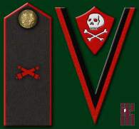 Каппель. В полный рост. - _2_sib_shock_art.jpg