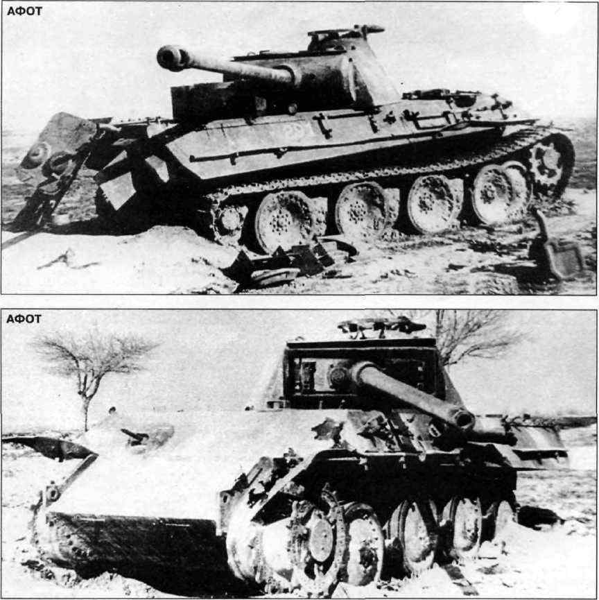 Бои у озера Балатон. Январь–март 1945 г. - i_071.jpg