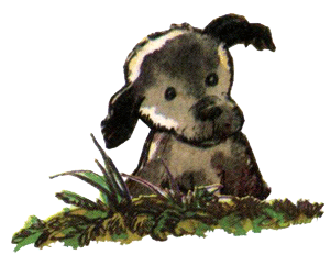 Барбара и летние собаки - i_003.png