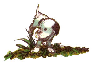 Барбара и летние собаки - i_009.png