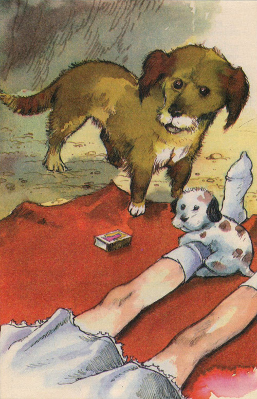 Барбара и летние собаки - i_013.jpg