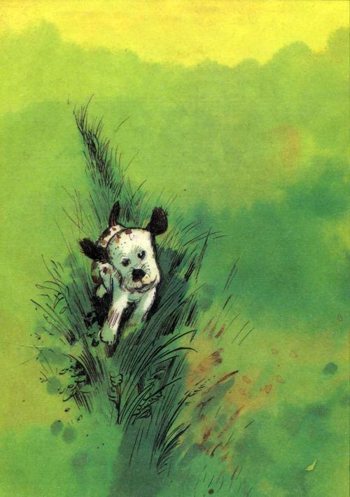 Барбара и летние собаки - i_018.jpg