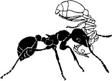 Непослушное дитя биосферы - c02p10.png