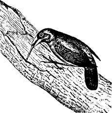 Непослушное дитя биосферы - c02p16.png