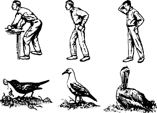 Непослушное дитя биосферы - c03p10.png