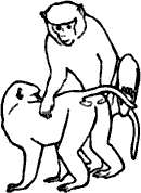 Непослушное дитя биосферы - c03p13.png