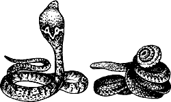 Непослушное дитя биосферы - c03p15.png