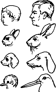 Непослушное дитя биосферы - c03p30.png