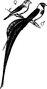 Непослушное дитя биосферы - c05p13.png