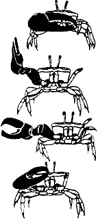 Непослушное дитя биосферы - c05p16.png