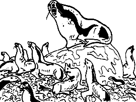 Непослушное дитя биосферы - c06p01.png