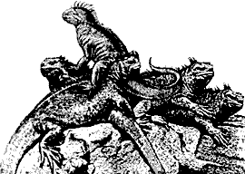 Непослушное дитя биосферы - c06p02.png