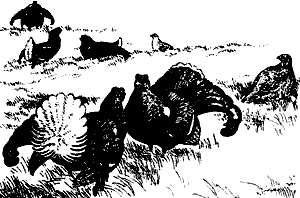 Непослушное дитя биосферы - c06p03.png