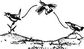 Непослушное дитя биосферы - c06p07.png