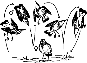 Непослушное дитя биосферы - c06p08.png