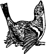 Непослушное дитя биосферы - c06p10.png