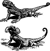 Непослушное дитя биосферы - c07p05.png