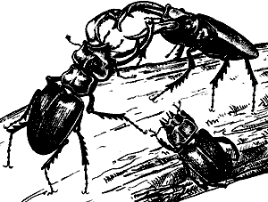 Непослушное дитя биосферы - c07p13.png