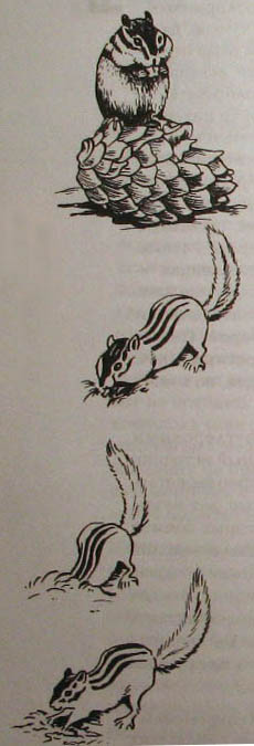 Непослушное дитя биосферы. Беседа первая и вторая - doc2fb_image_02000009.jpg