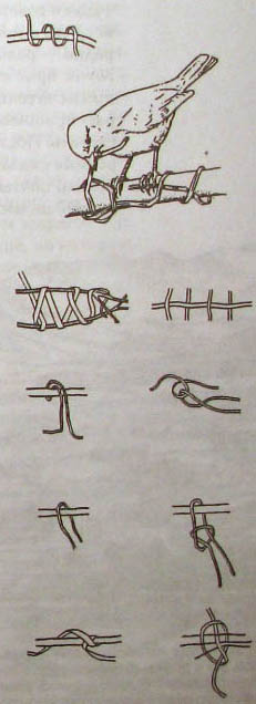 Непослушное дитя биосферы. Беседа первая и вторая - doc2fb_image_02000006.jpg