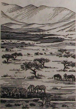 Непослушное дитя биосферы. Беседа первая и вторая - doc2fb_image_02000007.jpg