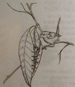 Непослушное дитя биосферы. Беседа первая и вторая - doc2fb_image_02000004.jpg