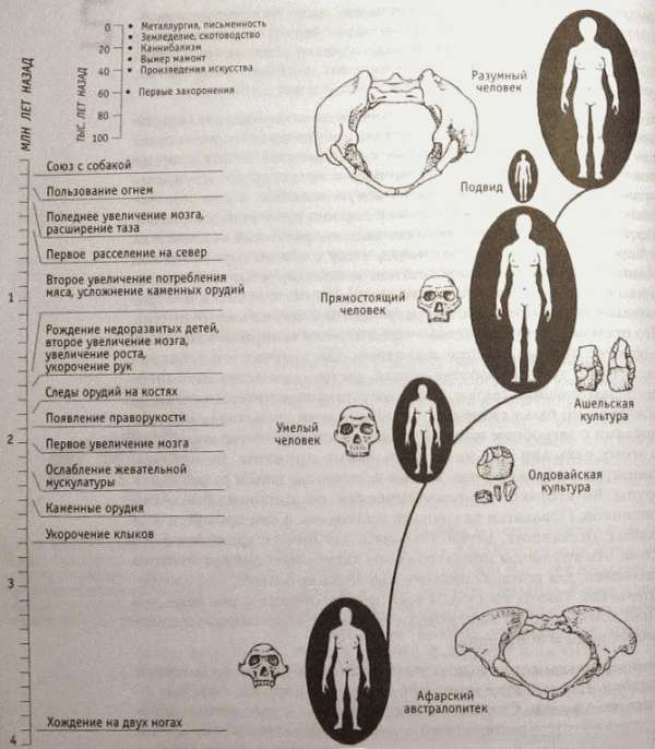 Непослушное дитя биосферы. Беседа первая и вторая - doc2fb_image_02000019.jpg