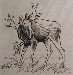 Непослушное дитя биосферы. Беседа третья и четвертая - doc2fb_image_02000008.jpg