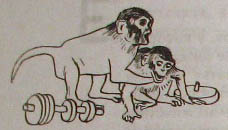 Непослушное дитя биосферы. Беседа третья и четвертая - doc2fb_image_0200000C.jpg