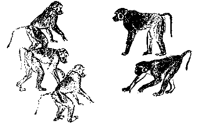 Этологические экскурсии по запретным садам гуманитариев - doc2fb_image_03000011.png