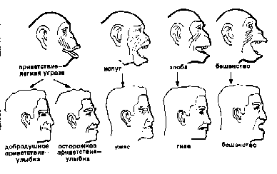 Этологические экскурсии по запретным садам гуманитариев - doc2fb_image_03000016.png