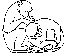 Этологические экскурсии по запретным садам гуманитариев - doc2fb_image_03000019.png