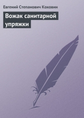  Коковин Евгений Степанович - Вожак санитарной упряжки