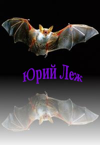 Бульвар - Letuchajamyshfiol.jpg