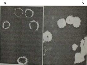 Кардинальный поворот - _19.jpg