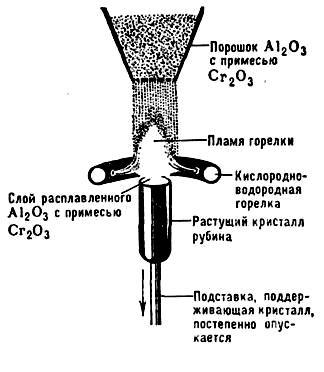 Мадагаскар-Россия. Часть 2 (СИ) - _1.jpg