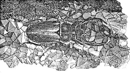 Імператор повені - i_002.jpg